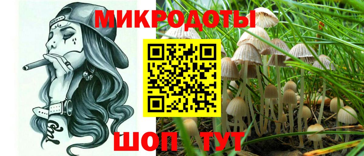 Галлюциногенные грибы Cubensis Нижний Тагил