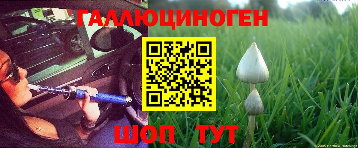 магазин    Вход с VPN  Галлюциногенные грибы Cubensis  Нижний Тагил  Галлюциногенные грибы ЛСД 